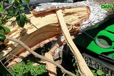 Phú Yên: Xe taxi leo lên dải phân cách tông đổ cây xanh