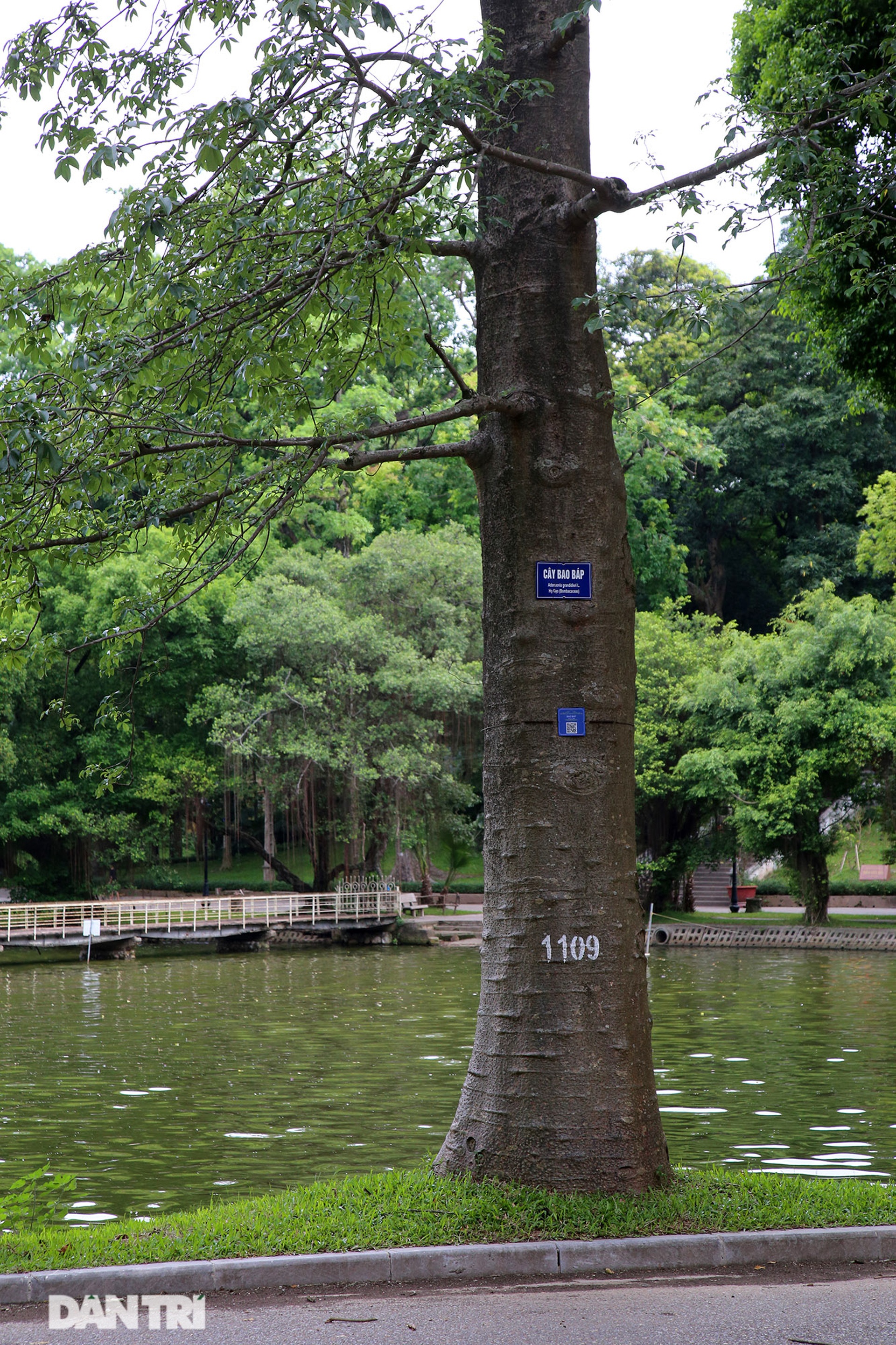 Lá phổi xanh khổng lồ, mát rượi giữa lòng Thủ đô - 6