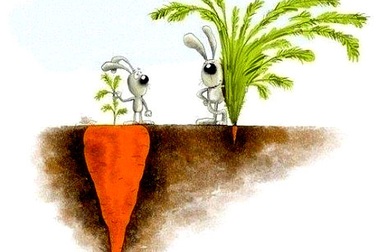 Những sai lầm kinh điển chỉ vì… “nhìn bìa sách, đoán nội dung”