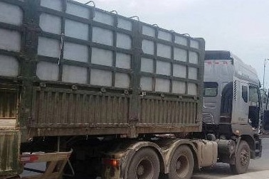 Dí súng cướp hết 27 tấn hàng hóa khi tài xế đang ngủ trên xe