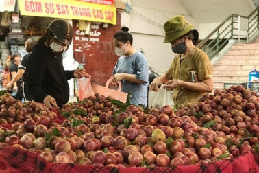 Tết Đoan Ngọ: Rượu nếp, vải, mận "cháy hàng" sớm, tiểu thương bán mỏi tay