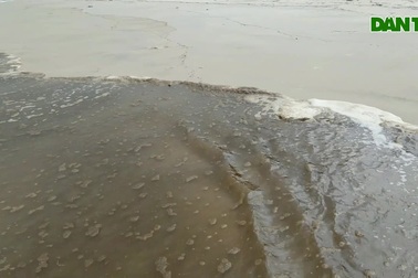 Nước biển có màu đen bất thường