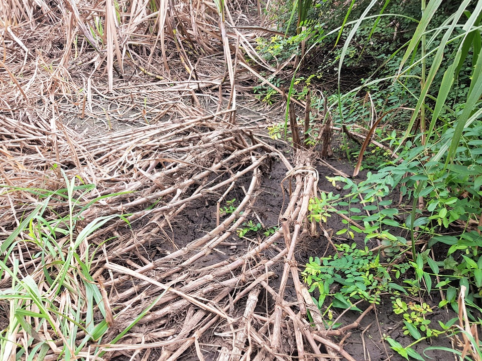 Vụ dân dựng lều canh nhà máy xả thải: Hé lộ dấu hiệu gây ô nhiễm - 3 Vụ dân dựng lều canh nhà máy xả thải: Hé lộ dấu hiệu gây ô nhiễm - 3