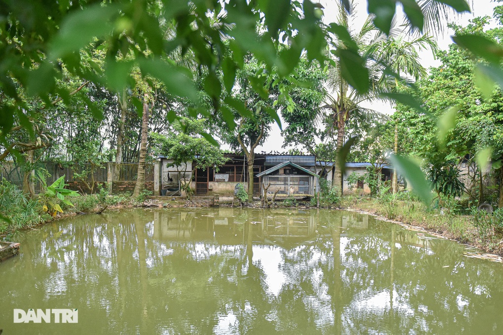 Con gái Giang Còi tiết lộ lí do làm tang lễ cho bố sau một năm qua đời - 9 Con gái Giang Còi tiết lộ lí do làm tang lễ cho bố sau một năm qua đời - 9