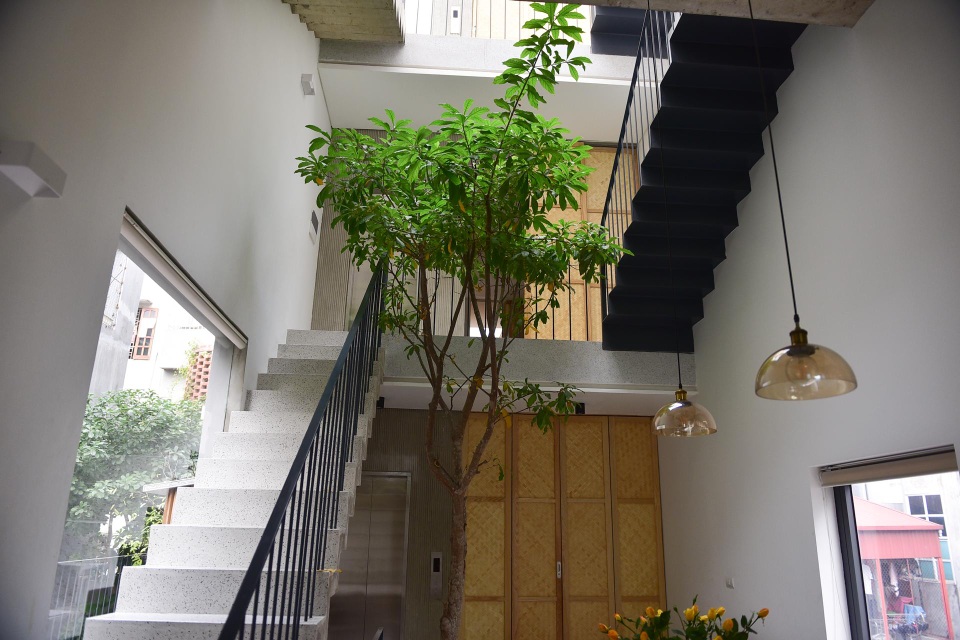 Nhà ống chật hẹp ở Hà Nội đẹp ấn tượng nhờ các khu vườn treo xanh mát - 8