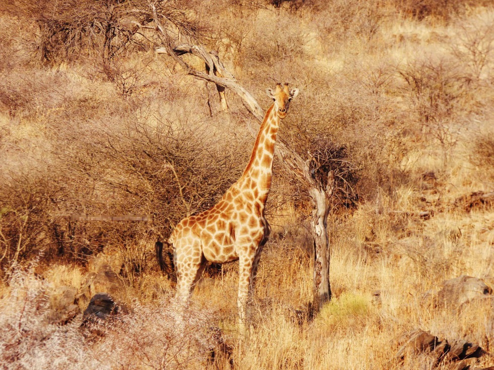 9X Việt chi gần 200 triệu đồng ngắm cây khô ở nghĩa địa độc đáo châu Phi - 1 9X Việt chi gần 200 triệu đồng ngắm cây khô ở nghĩa địa độc đáo châu Phi - 1