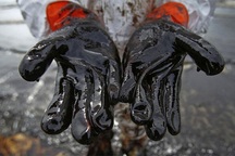 “1/3 số công ty dầu lửa trên thế giới có nguy cơ phá sản”