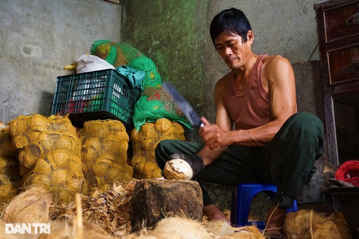 Nghề chặt đau tay kiếm vài trăm nghìn đồng mỗi ngày giáp Tết - 10 Nghề chặt đau tay kiếm vài trăm nghìn đồng mỗi ngày giáp Tết - 10