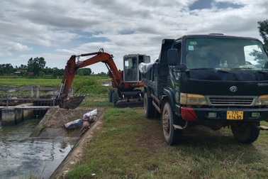 Chính quyền xin lỗi dân vì mùi hôi thối khi xử lý xác lợn chết