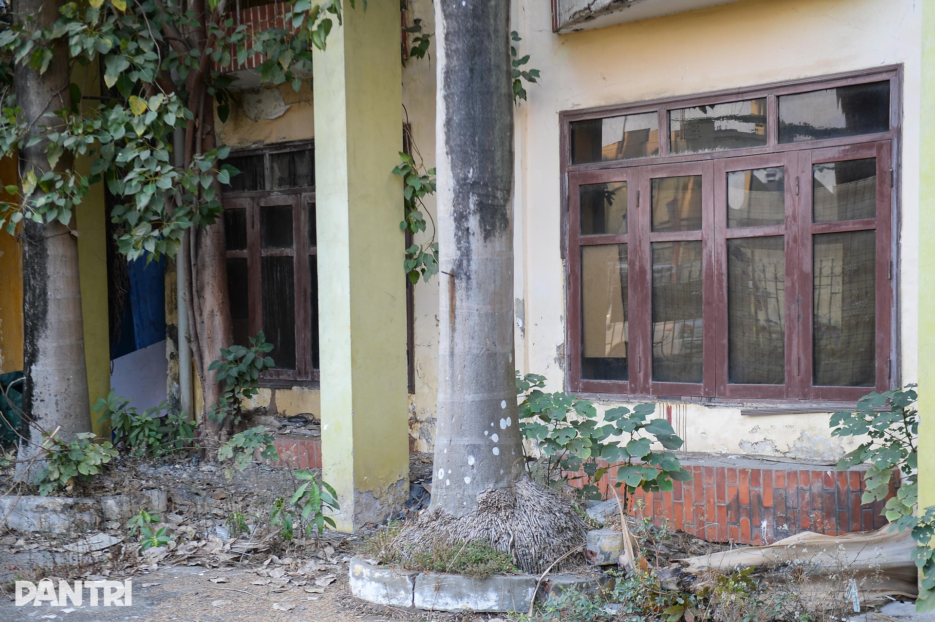 Hà Nội: Hàng loạt trụ sở ở khu đất vàng của quận Hà Đông bị bỏ hoang - 8 Hà Nội: Hàng loạt trụ sở ở khu đất vàng của quận Hà Đông bị bỏ hoang - 8