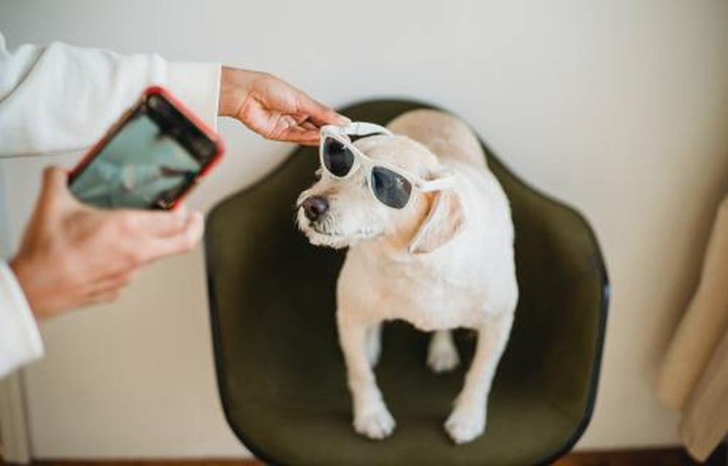 Nhiều phụ huynh Mỹ chụp ảnh con ít hơn cả chụp... thú cưng - 1