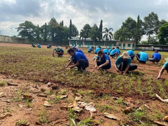 Trồng cỏ tạo cảnh quang cho cơ sở.