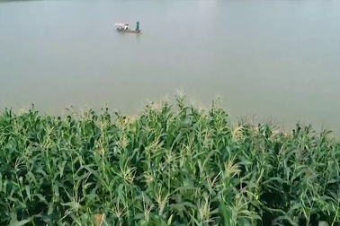 NSƯT Tố Nga gây xúc động với ca khúc "Nhớ mẹ"