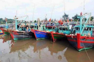 Di dời 14.208 hộ dân sinh sống ngoài đê chính trước giờ bão vào