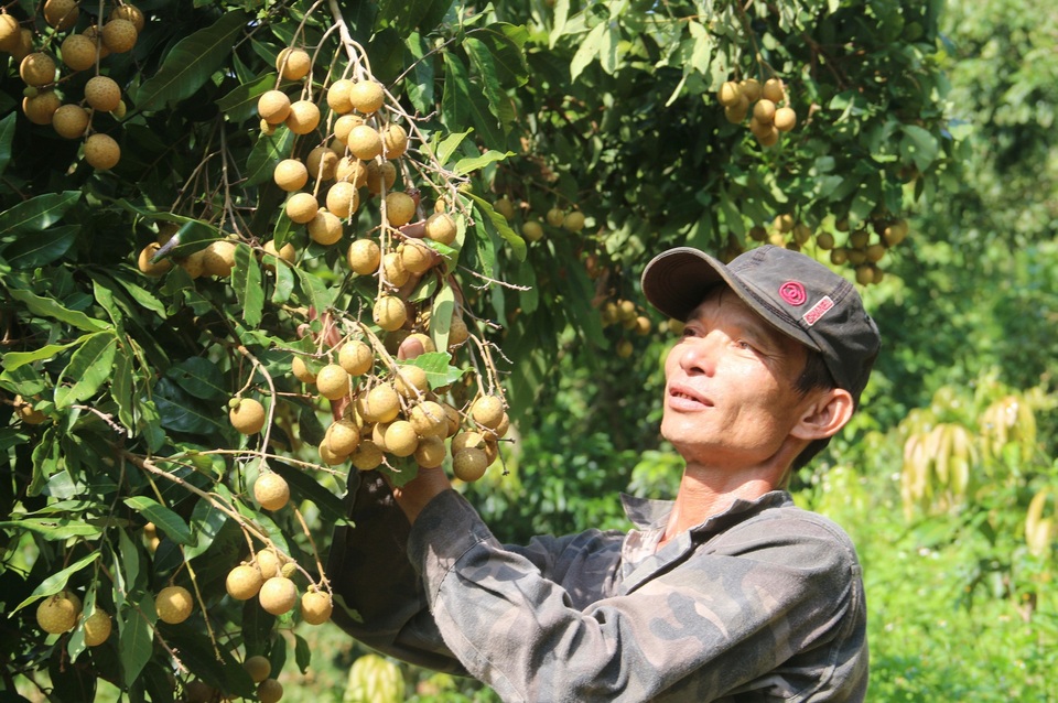 Nông sản Việt muốn rộng đường xuất khẩu cần chứng minh thư GlobalGAP? - 1 Nông sản Việt muốn rộng đường xuất khẩu cần chứng minh thư GlobalGAP? - 1