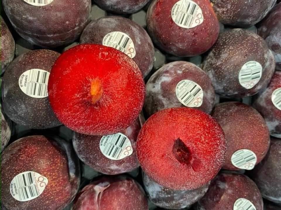 Hé lộ về loại mận siêu khổng lồ khiến thượng đế đốt ví - 1 Hé lộ về loại mận siêu khổng lồ khiến thượng đế đốt ví - 1