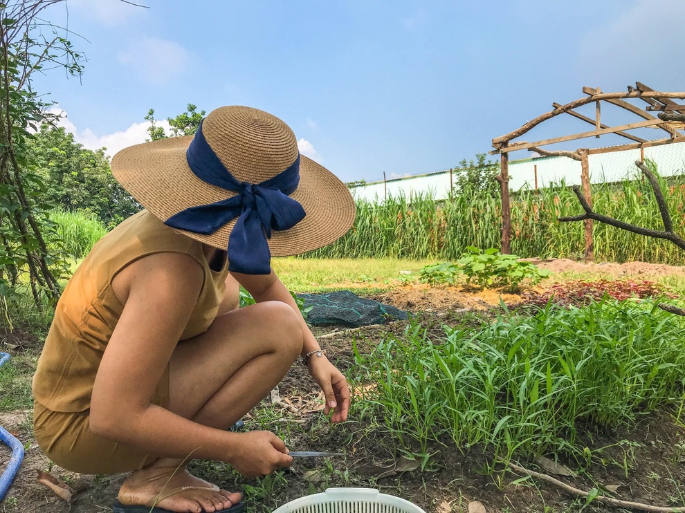 Cặp vợ chồng bỏ phố về quê tự đắp đất làm nhà, nuôi cá trồng rau | Báo Dân trí