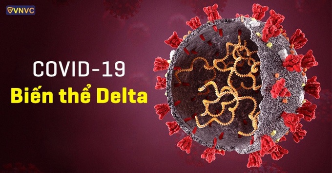 Người nhiễm biến thể Delta có tải lượng virus cao gấp 300 lần so với nhiễm virus SARS-CoV-2 gốc - Ảnh 1.