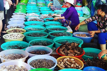 Tôm Alaska, tôm hùm baby, cua Cà Mau tăng giá vùn vụt vẫn cháy hàng