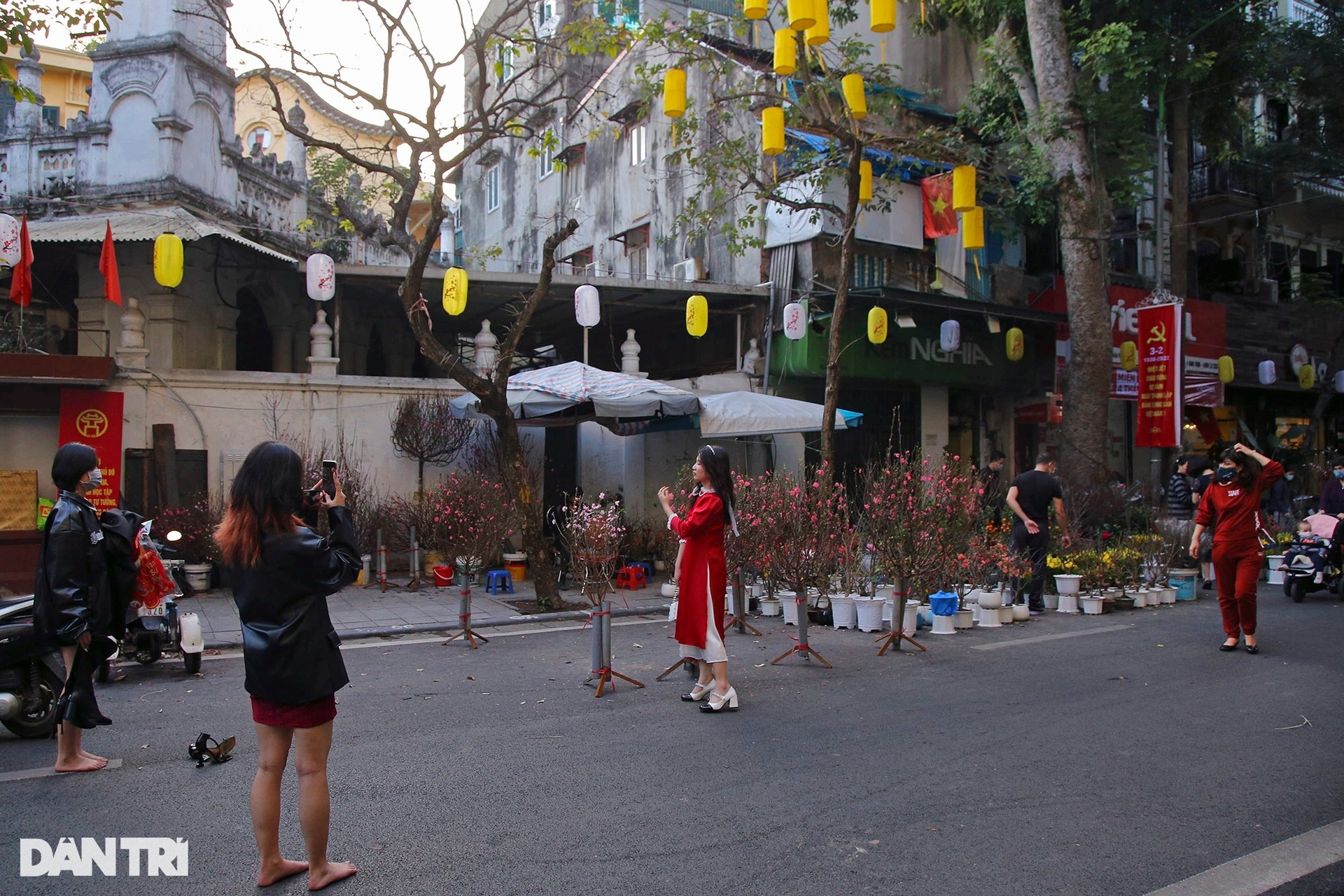 Chợ hoa Hàng Lược mang không khí Tết đặc trưng đất Hà Thành - 13 Chợ hoa Hàng Lược mang không khí Tết đặc trưng đất Hà Thành - 13