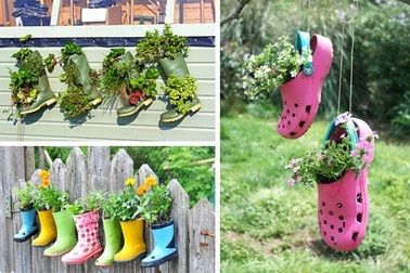 5 bộ ảnh đẹp vào chung kết cuộc thi “Phô diễn không gian xanh”