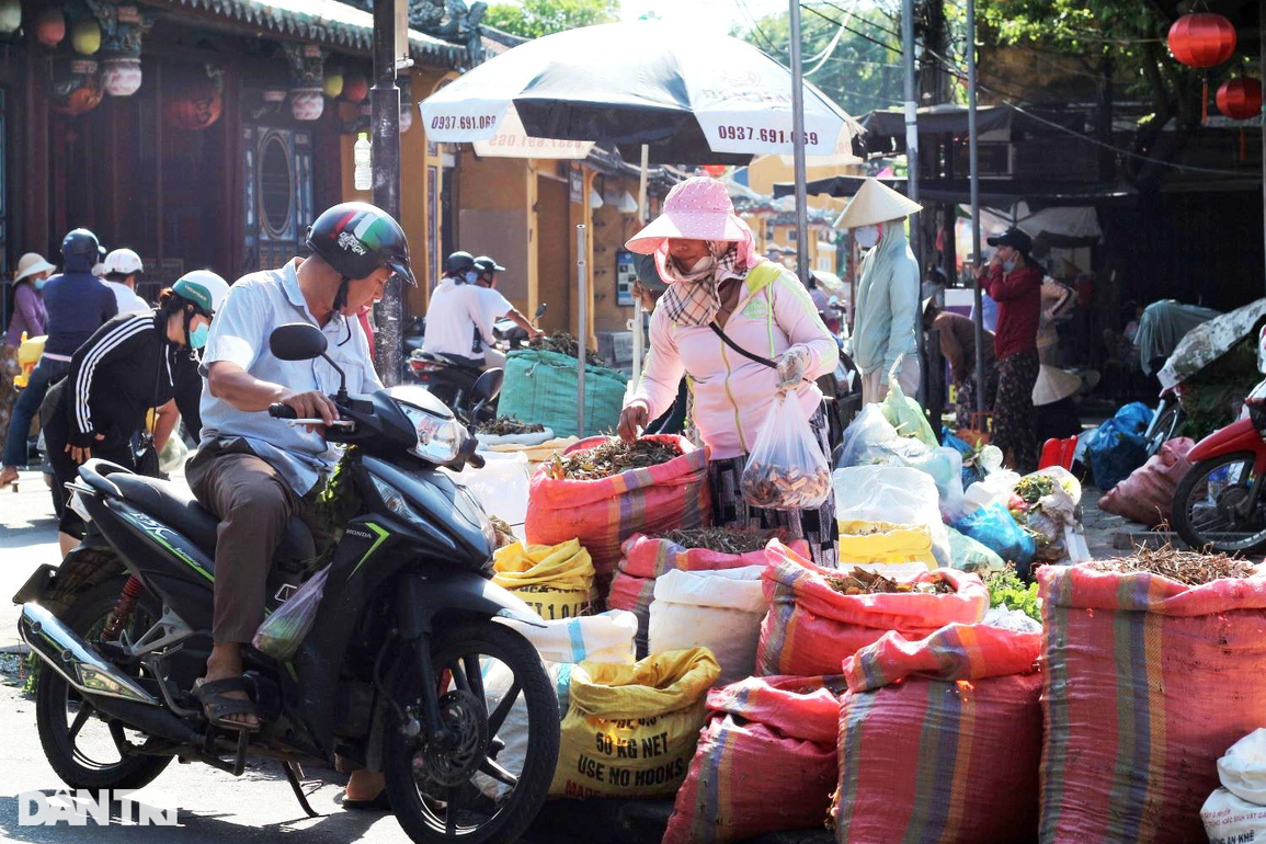 Gom nhặt cả năm cho phiên chợ lá chỉ bán vài ngày Tết Đoan ngọ - 1 Gom nhặt cả năm cho phiên chợ lá chỉ bán vài ngày Tết Đoan ngọ - 1