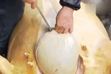 Lẩu "phân bò" - món ăn kinh dị nặng mùi không phải ai cũng dám thử