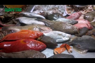 Chợ đêm Lý Sơn hấp dẫn du khách với hải sản tươi ngon