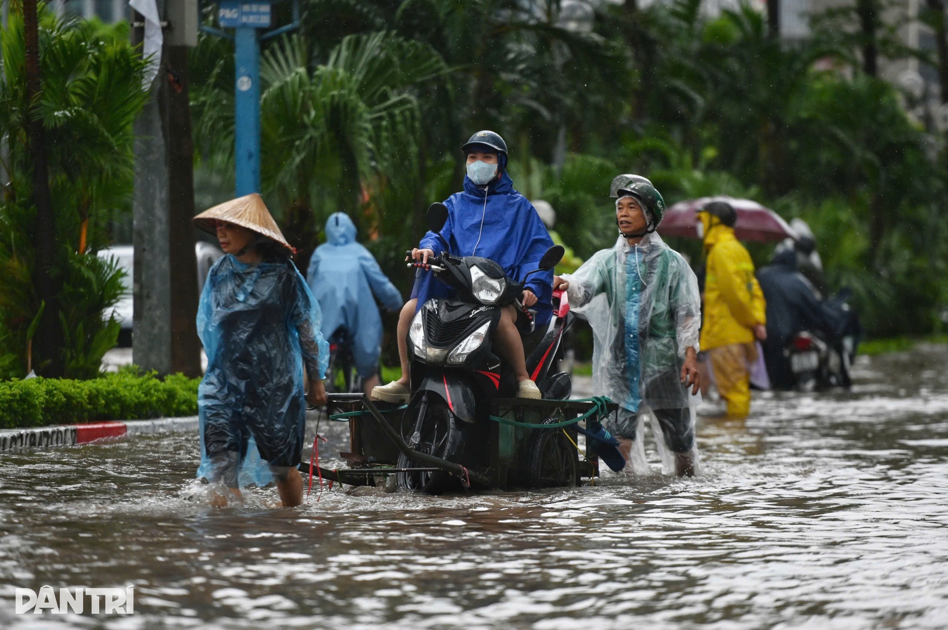 Người và xe bơi trong dòng nước ngập sâu ở Hà Nội - 12 Người và xe bơi trong dòng nước ngập sâu ở Hà Nội - 12