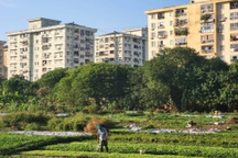 Đại biểu Quốc hội: Tham nhũng về đất đai xảy ra cũng chính vì giá đất thấp