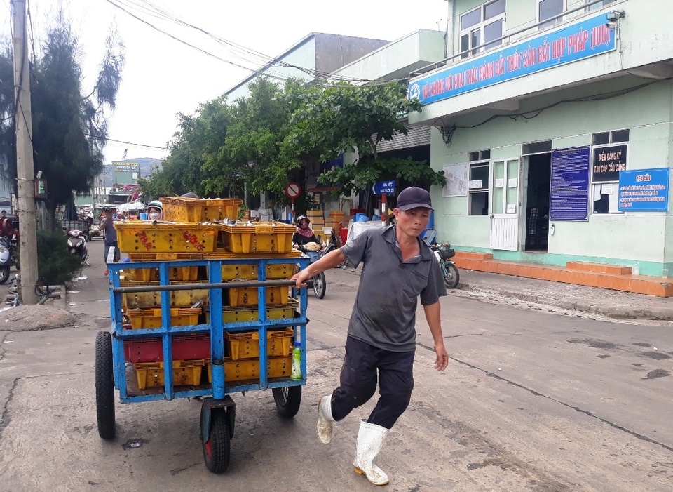 Hàng trăm tàu cá ngư dân miền Trung hối hả bán cá “chạy” bão - 6 Hàng trăm tàu cá ngư dân miền Trung hối hả bán cá “chạy” bão - 6