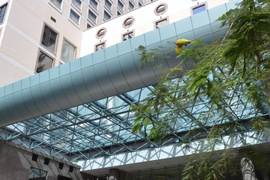 Một người nước ngoài rơi từ tầng 20 khách sạn Sheraton