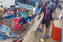 Ngư dân trúng đậm ốc xoắn và sò bi, đút túi hàng triệu đồng/chuyến ra biển