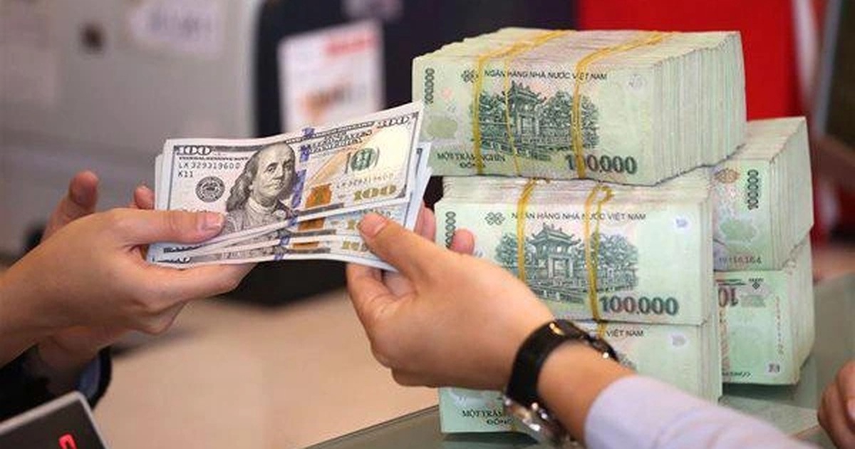 Nở rộ tình trạng thuê người Việt làm giám đốc công ty để lừa đảo, rửa tiền