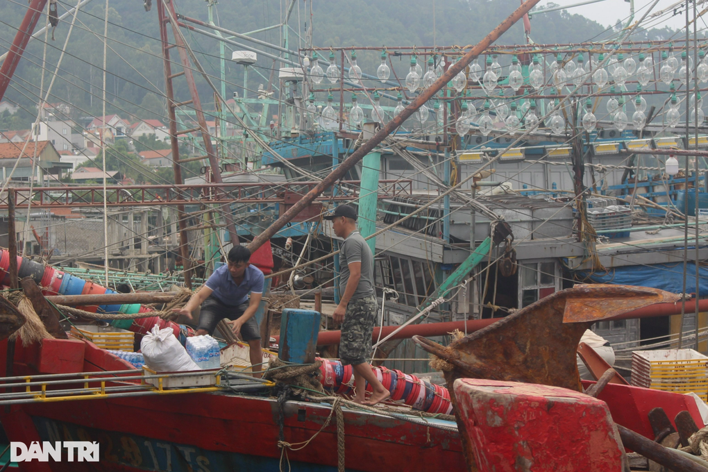 Anh nông dân trở thành tỷ phú khi chuyển hướng khởi nghiệp - 3 Anh nông dân trở thành tỷ phú khi chuyển hướng khởi nghiệp - 3