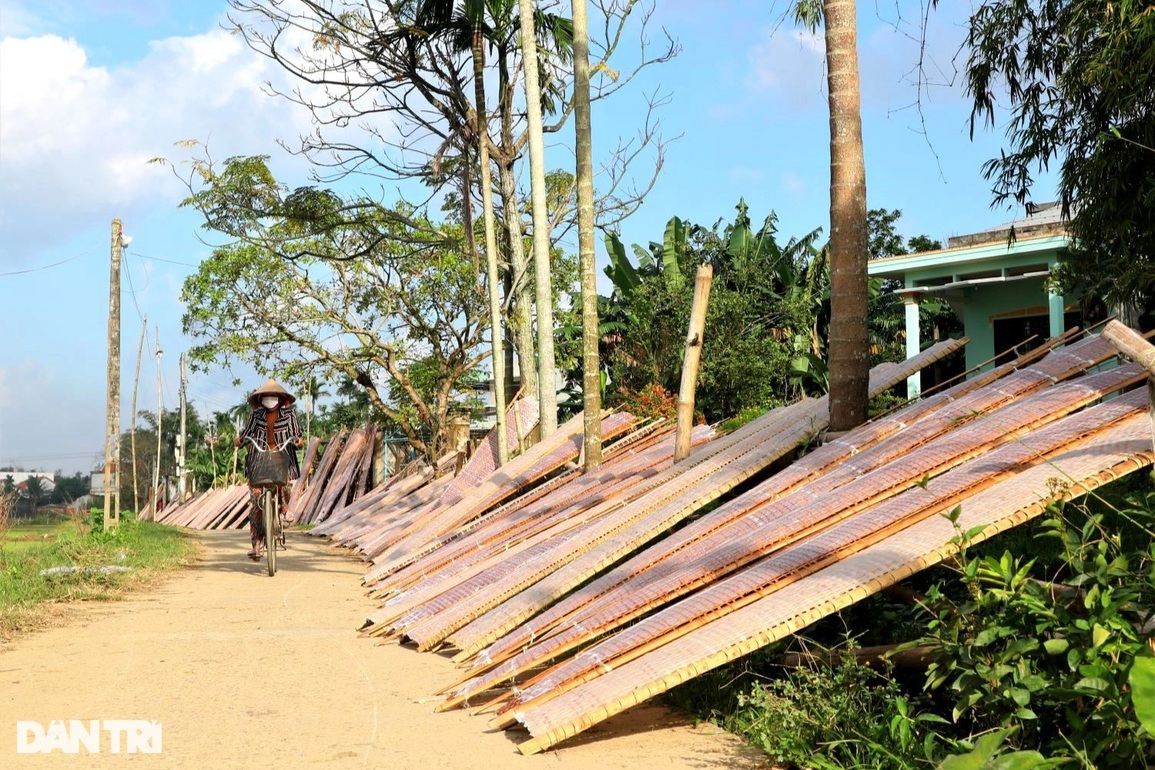 Nắng lên, làng bánh tráng Phú Triêm rực lửa đón Tết - 10 Nắng lên, làng bánh tráng Phú Triêm rực lửa đón Tết - 10