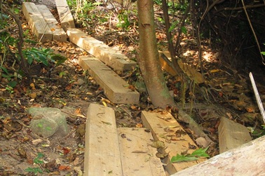 Bắt được đối tượng tấn công kiểm lâm rồi bỏ trốn vào rừng