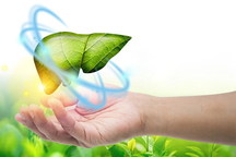 5 cách đơn giản giúp tăng cường chức năng gan