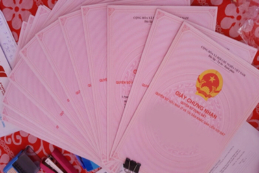 Cục THADS TPHCM tiếp nhận gần 1.600 sổ đỏ trong vụ Vạn Thịnh Phát