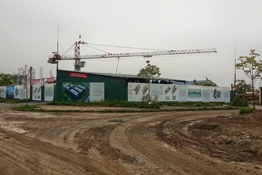 Cienco 5 cách chức Tổng Giám đốc, kiến nghị dừng chuyển giao dự án Thanh Hà