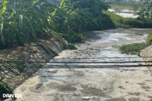 Mương nước gần trại lợn ở Hải Phòng ô nhiễm do rò rỉ hầm biogas?