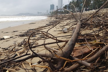 Bãi biển Nha Trang ngập rác sau mưa lớn
