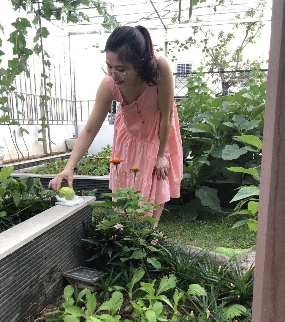 Chồng kỹ sư biến sân thượng thành vườn rau, trái sum suê tặng vợ - 10