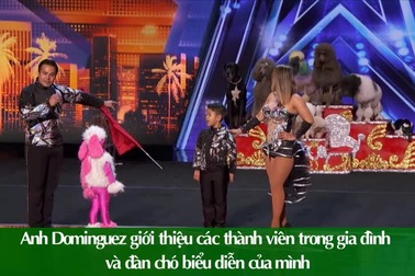 Tiết mục xiếc chó “đốn tim” khán giả