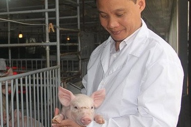 Thu 2 tỷ đồng/tháng từ nuôi lợn thịt sạch