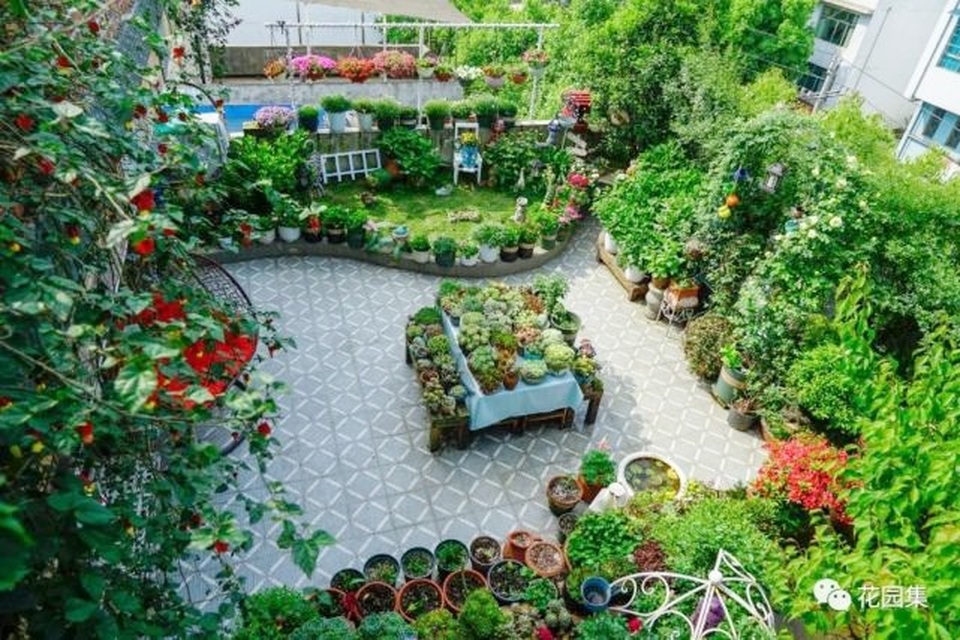 Trồng hoa trên sân thượng, cô gái tạo ra khu vườn cổ tích vạn người mê - 1 Trồng hoa trên sân thượng, cô gái tạo ra khu vườn cổ tích vạn người mê - 1