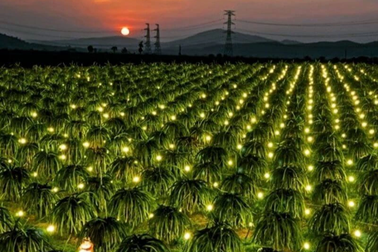 Khách Tây sửng sốt với quang cảnh Việt Nam từ cửa sổ máy bay