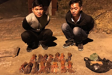 Dùng xe tải để vận chuyển một lượng lớn vật liệu nổ