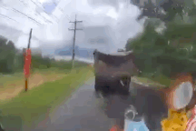 Mặc xe cứu thương hú còi, tài xế xe ben vẫn ngang ngược cản đường