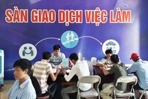Nghệ An: Hơn 22.000 chỉ tiêu tại Phiên giao dịch việc làm tháng 11